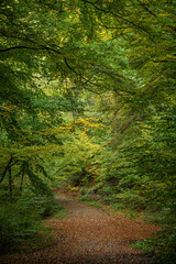 Wanderweg im Deilbachtal bei Velbert
