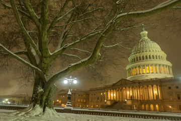 Snowfall in DC. Winter in American Capitol Washington D.C. Capitol building at night evening winter. U.S. Capitol in snow historical photos. Winter Capitol Hill in Washington D.C. © Volodymyr
