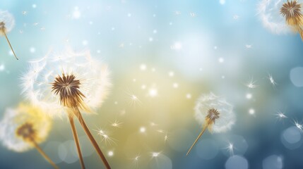 Dreamy close-up of delicate dandelion seeds floating in soft illuminated atmosphere – nature's ethereal beauty