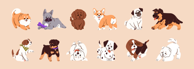 Obraz premium Cute puppies of different breeds set. Various adorable purebred pups. Funny small dogs, happy animals. Corgi, french, bulldog, labrador, shepherd, pomeranian spitz. Flat isolated vector illustrations