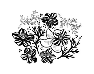 Set with beautiful flowers and corals. Hand-drawn bold brush style. Abstract black  decorative flowers. Botanical ornament in modern style.