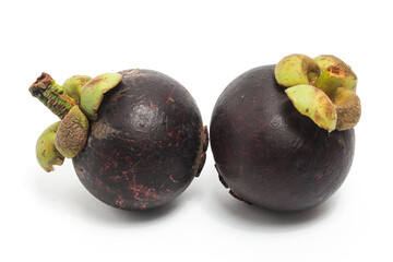 Two fresh organic mangosteen delicious fruit side view isolated on white background clipping path