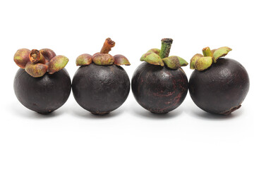 Four fresh organic mangosteen delicious fruit isolated on white background clipping path