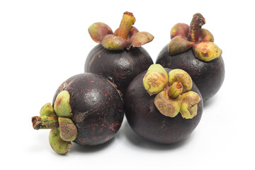 Four fresh organic mangosteen delicious fruit isolated on white background clipping path