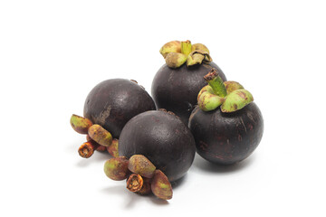 Four fresh organic mangosteen delicious fruit isolated on white background clipping path