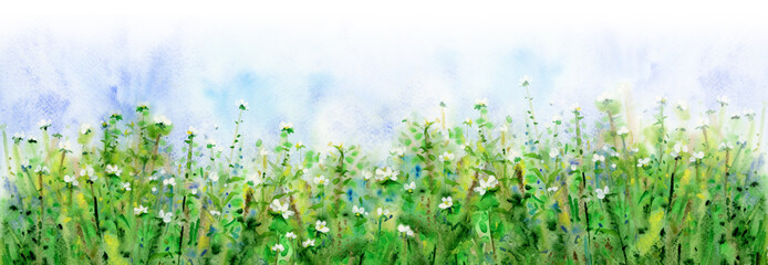 Spring, green, floral background. Watercolor illustration. - 710481880