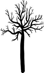 Trees silhouettes illustration on transparent background.
