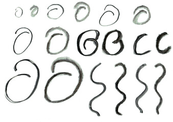 Set of Round Graphic Elements