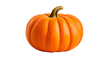 a close up of a pumpkin