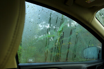 Obraz premium raindrops on window on car windshield