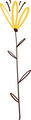Hand drawn flower illustration on transparent background.
