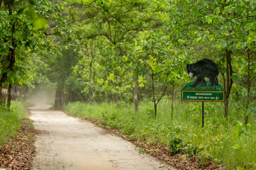 sloth bear or Melursus ursinus signboard display on track or road to educate aware common people...