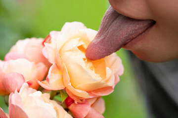 Tongue sensual lick orchid. Sexy woman mouth with tongue sticking out. Beautiful mouth close-up. Big female tongue. Sexy lick. © Volodymyr