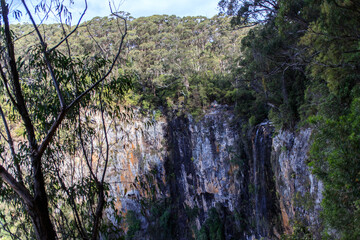Mystical Waterfall Amidst Springbrook’s Verdant Cliffs