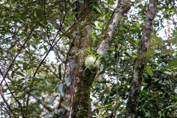 A Glimpse of Nature’s Hidden Beauty