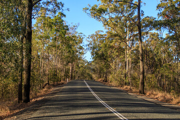 A Peaceful Drive Through the Wooded Landscape