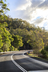 A Peaceful Drive Through the Wooded Landscape