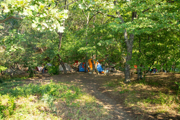 Tourist tents in a camp in a mountain forest of oaks in the Crimea.