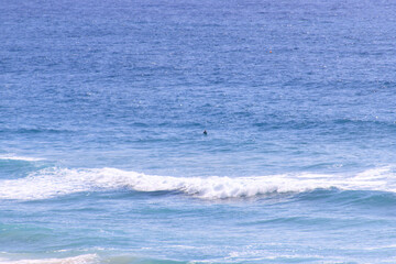 Surfers Waiting for Waves in Blue Ocean