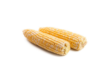 Two ears of sweet corn isolated on a white background..