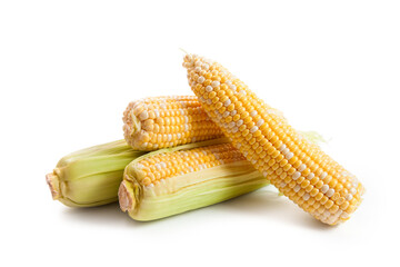 Several ears of sweet corn isolated on a white background. .