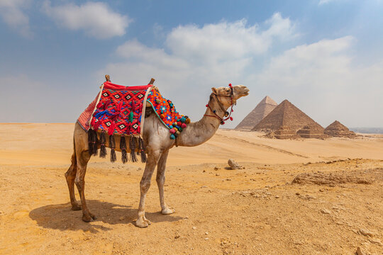 View of The Giza Necropolis, Famed archaeological site featuring the Great Pyramids, the Great Sphinx and The Great Pyramid of Giza in the desert of Giza, Cairo, Egypt.