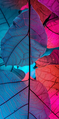 Folhas coloridas juntas - Fundo de tela abstrato