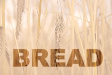 Bread, the text is written on the background of a field of wheat with ears. The concept of reduced...