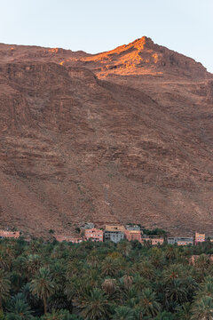View of the Palmeraie de Tinghir, a valley with palm trees near Ait Ismene village at sunset, Tinghir, Morocco.