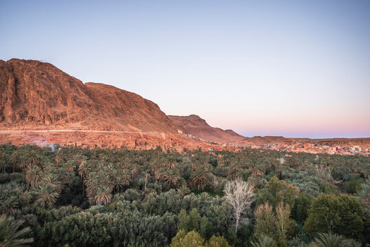 View of the Palmeraie de Tinghir, a valley with palm trees near Ait Ismene village at sunset, Tinghir, Morocco.