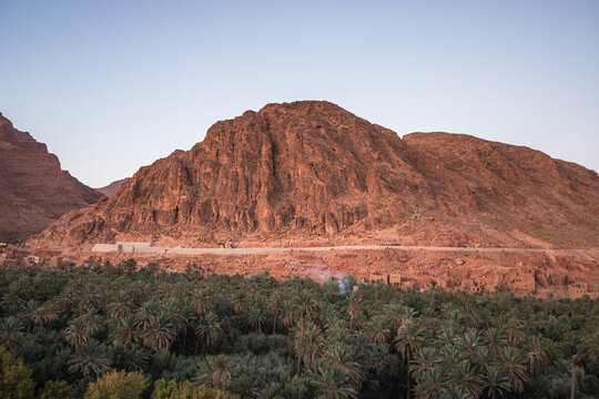 View of the Palmeraie de Tinghir, a valley with palm trees near Ait Ismene village at sunset, Tinghir, Morocco.