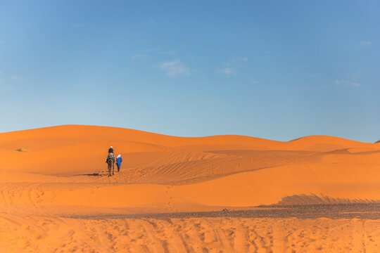 View of a berber bedouin walking across the Sahara Desert with a camel in Merzouga, Morocco.