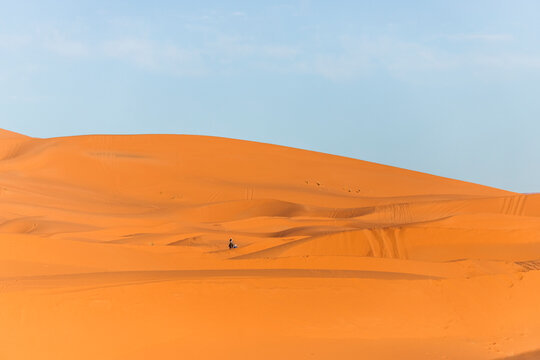 View of a berber bedouin walking across the Sahara Desert with a camel in Merzouga, Morocco.
