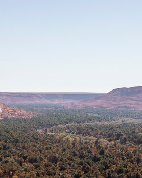 View of the Palmeraie, a valley with palm trees along the Ziz Valley with canyon near Errachidia, Morocco.