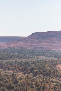 View of the Palmeraie, a valley with palm trees along the Ziz Valley with canyon near Errachidia, Morocco.