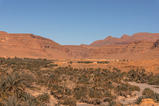 View of the Palmeraie, a valley with palm trees along the Ziz Valley with canyon near Errachidia, Morocco.