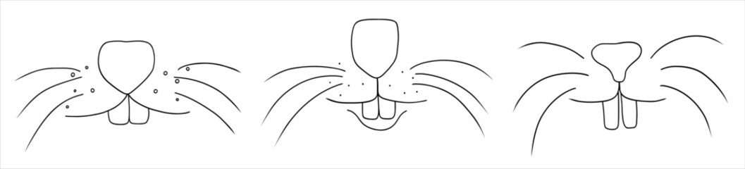 Set of bunny face with nose and teeth in hand drawn doodle style