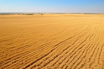 This aerial image captures the expansive expanse of a pristine dirt field from above, An aerial view of an expansive organic wheat field, AI Generated