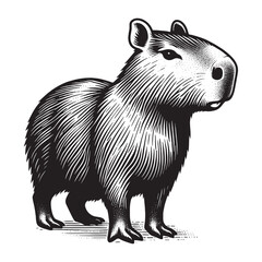 Capybara animal. Vintage engraving illustration, logo. Woodcut