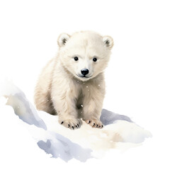 Polarbärjunges Schnee Aquarell Niedliche Eisbärillustration Jungtier Kinderzimmer Wandkunst Arktische Szene Tierbild