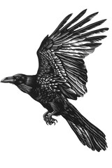 a black and white drawing of a bird - obrazy, fototapety, plakaty