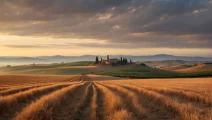 Papier Peint photo Toscane fields of Tuscany in the morning