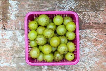 Phyllanthus emblica or Indian gooseberry fruits in a basket after harvesting 