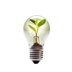 a light bulb with a plant growing inside