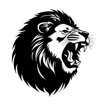 a black and white image of a lion