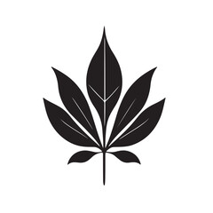 black and white leaf  Silhouette