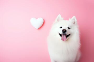 Happy samoyed white dog smiling with a pink heart on a pink background with copy space for text. Concept of Love, Pet care, Valentine's day. For pet shop, veterinary clinic banner or ad concept. - Powered by Adobe