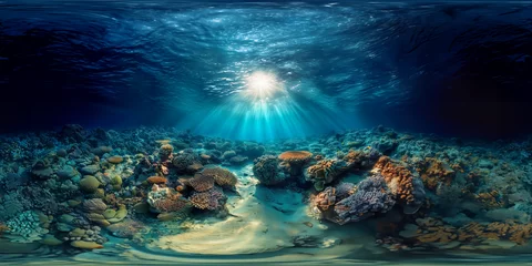 Fotobehang underwater scene with coral reef © VRKit360