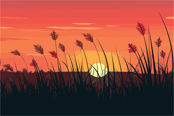Grass silhouette and sunset, silhouette of sunset grass flower