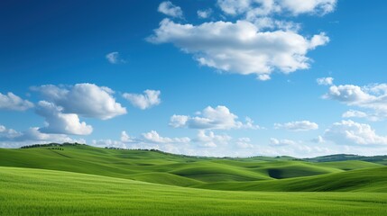 Fototapeta premium a field of green grass under a blue sky, Nature Landscape with Lush Greenery.